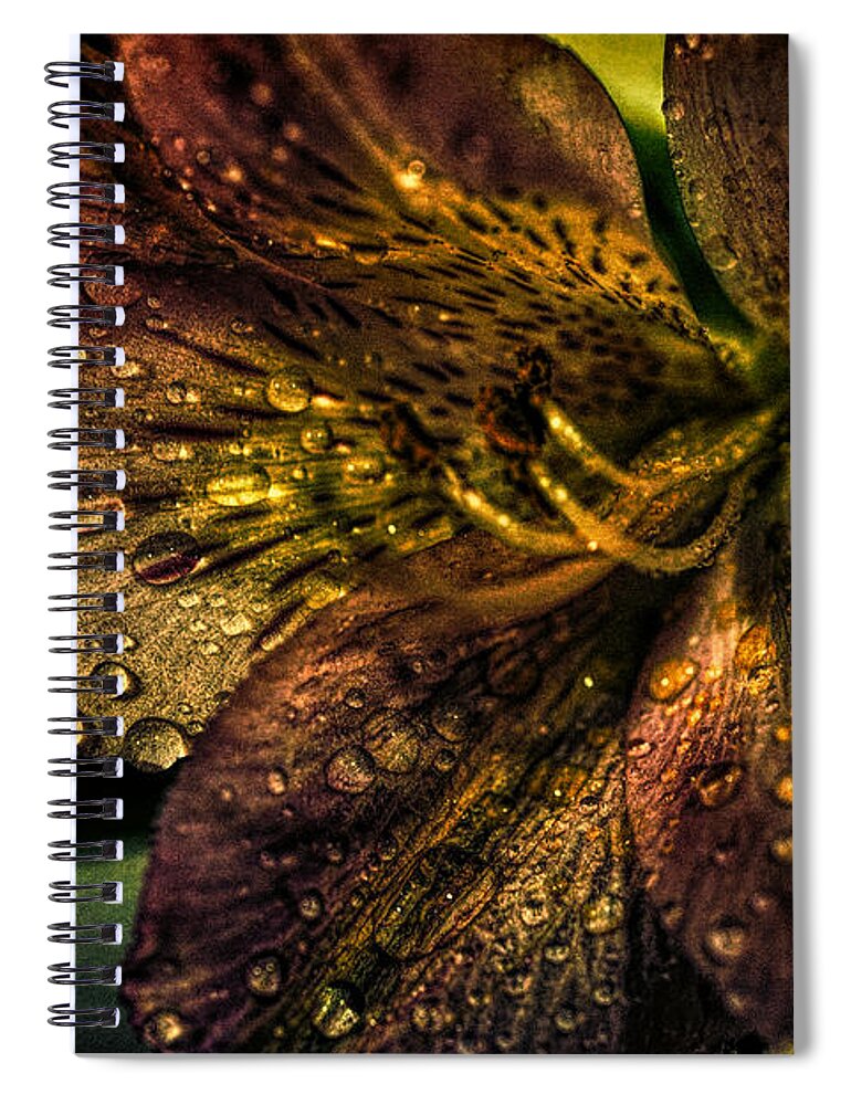 Golden Spiral Notebook featuring the photograph Golden Lily by Lilia S
