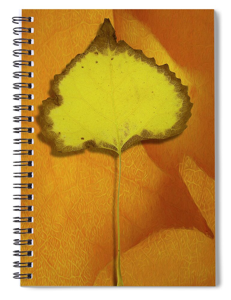 Desert Forest Garden Spiral Notebook featuring the digital art Golden Oldie by Becky Titus