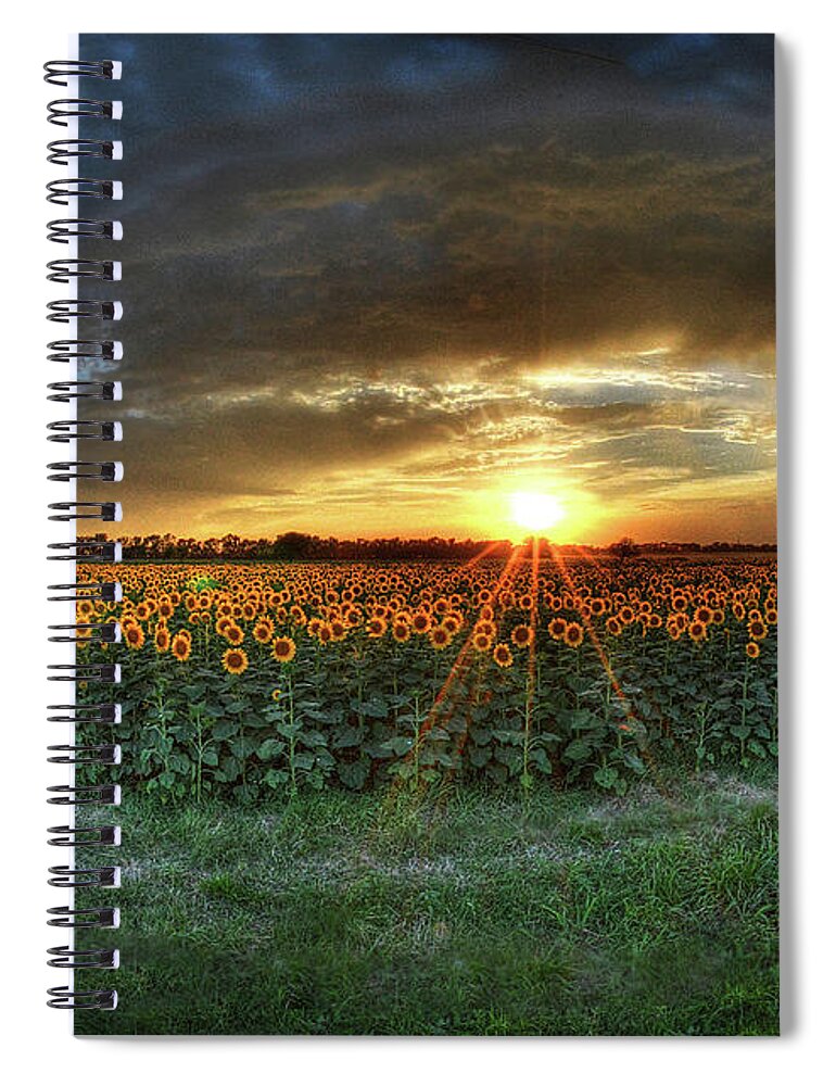 Sunset Spiral Notebook featuring the photograph Golden Rays by Michael Ciskowski