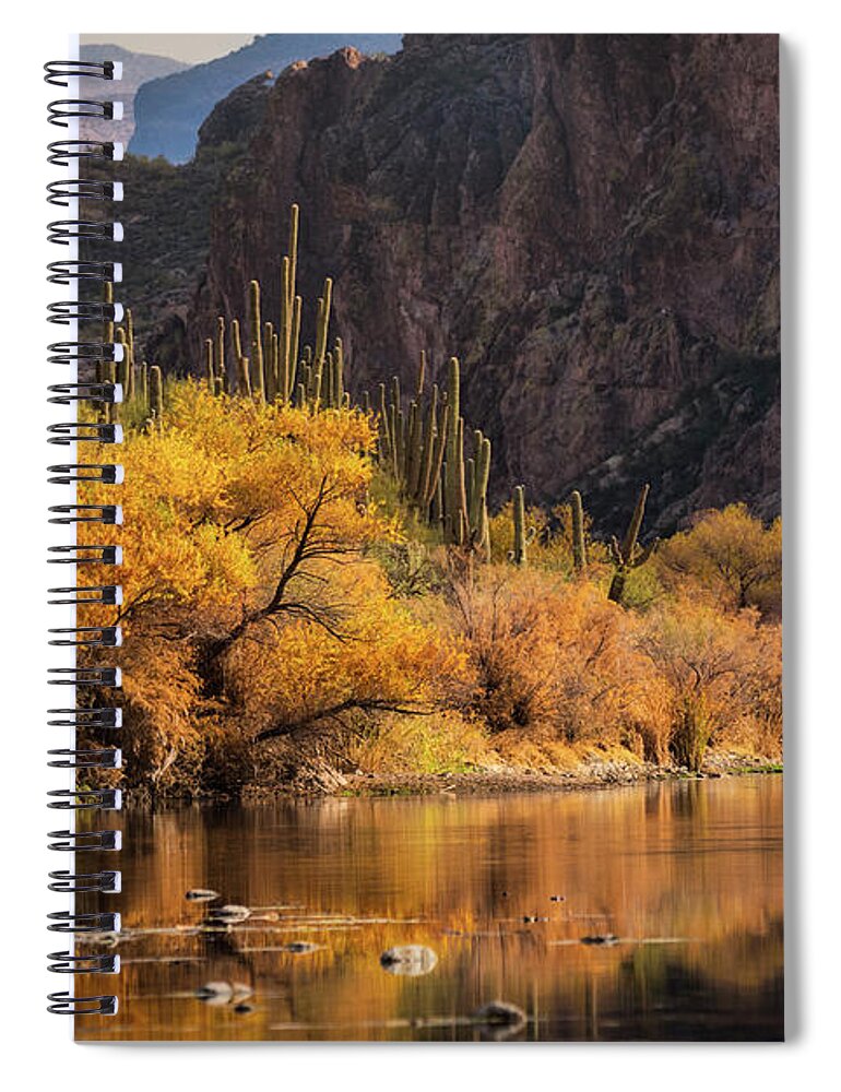 Arizona Spiral Notebook featuring the photograph Golden Reflections by Saija Lehtonen