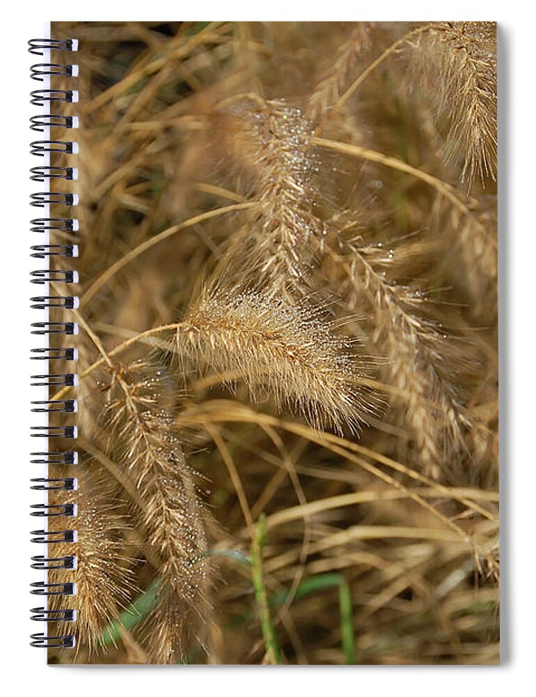 Wheat Spiral Notebook featuring the photograph Golden Wheat by Aimee L Maher ALM GALLERY
