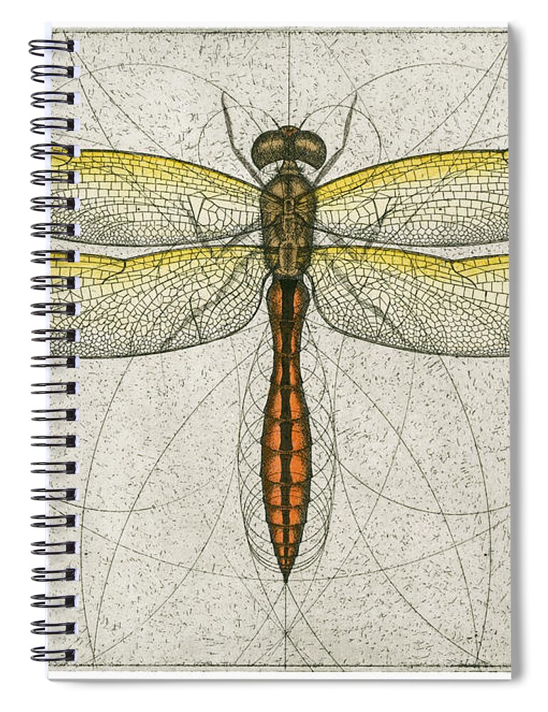 Golden Spiral Notebook featuring the painting Golden Winged Skimmer by Charles Harden