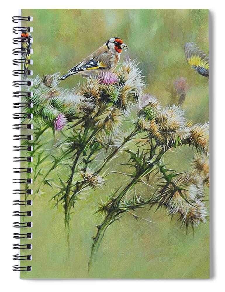 Wildlife Paintings Spiral Notebook featuring the painting Goldfinches on Thistle by Alan M Hunt