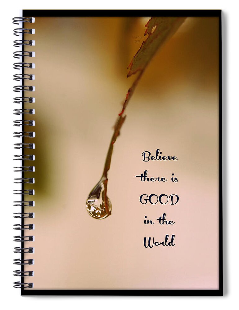 Raindrop Spiral Notebook featuring the mixed media Good In The World by Trish Tritz