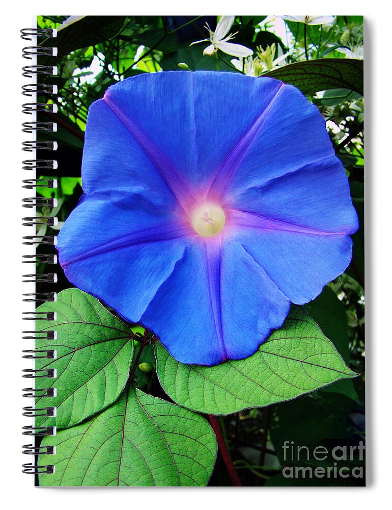 Flower Spiral Notebook featuring the photograph Good Morning by Sue Melvin