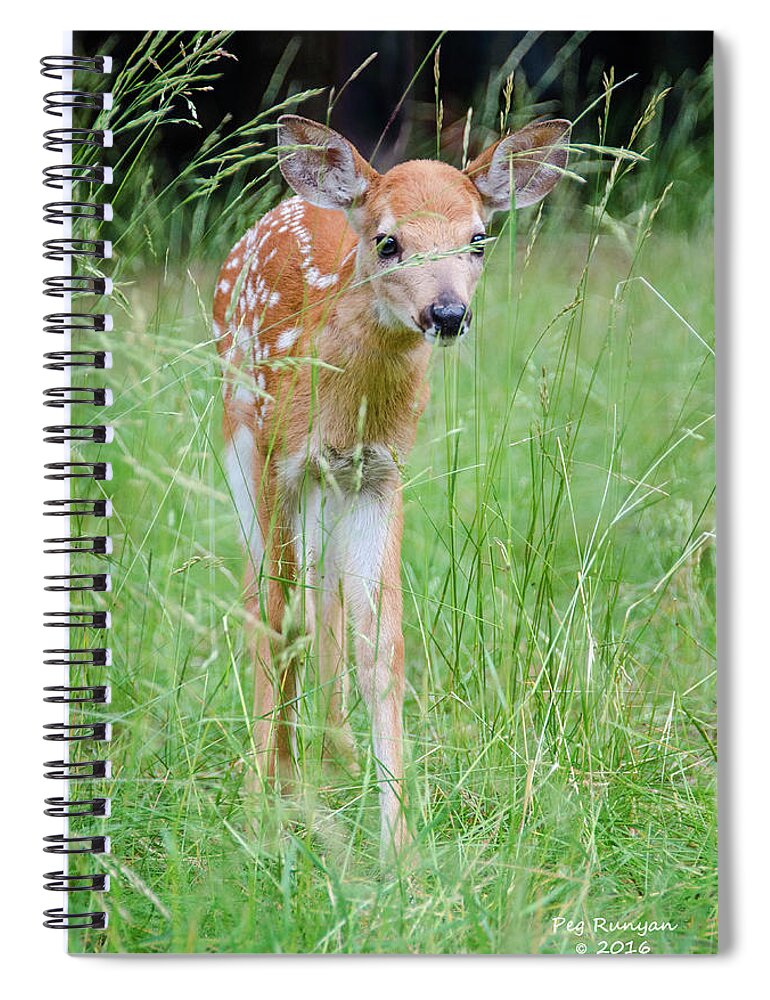 Fawn Spiral Notebook featuring the photograph Good Morning World by Peg Runyan