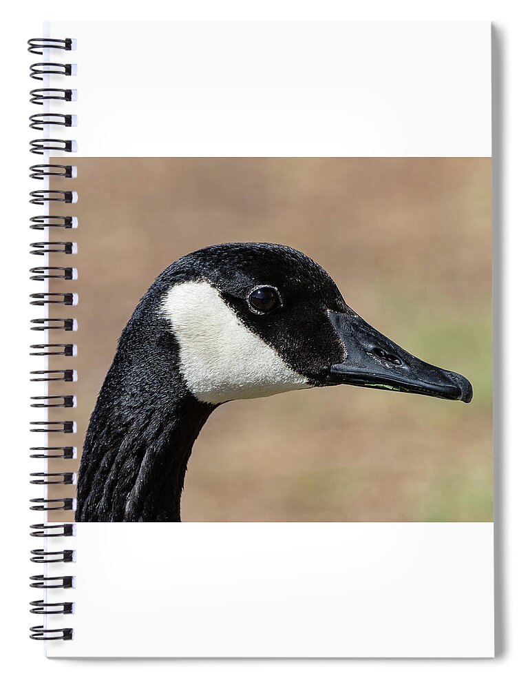 Bird Spiral Notebook featuring the photograph Goose Eye by Douglas Killourie