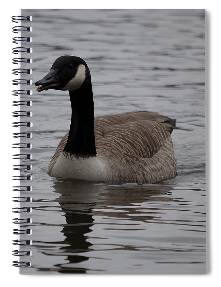 Bird Spiral Notebook featuring the photograph Goose Mouth Hanging Open by Scott Lyons