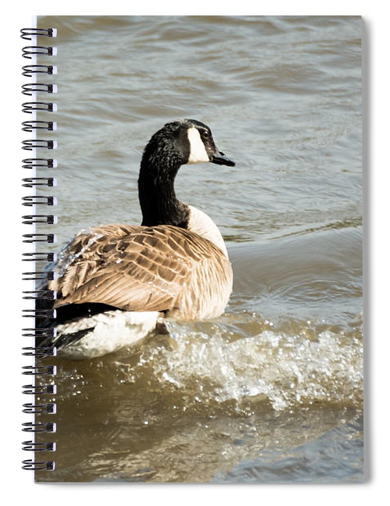 Goose Spiral Notebook featuring the photograph Goose Rides A Wave by Holden The Moment