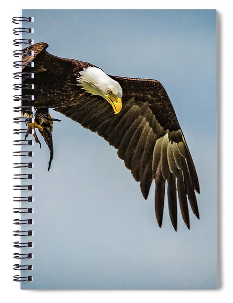 Bird Spiral Notebook featuring the photograph Got Lunch by Bruce Bonnett
