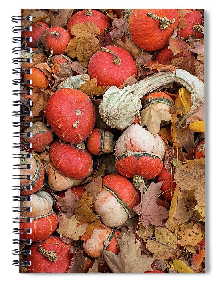 Gourds Spiral Notebook featuring the photograph Gourds and Autumn Leaves by Barbara McMahon