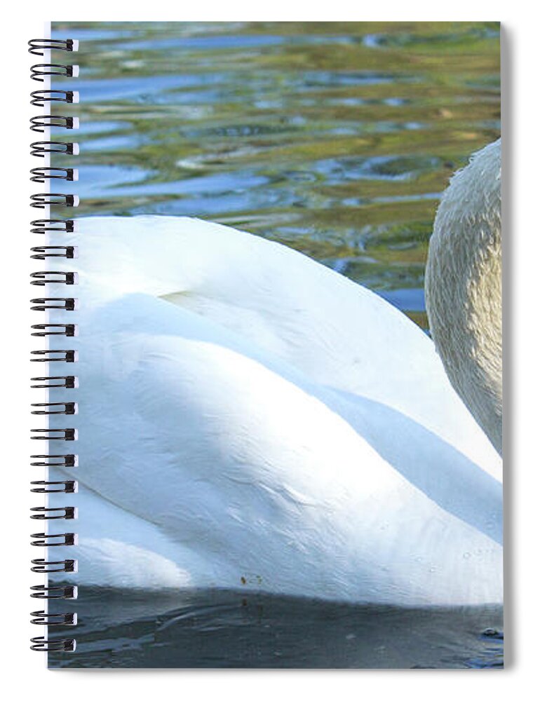 Swan Spiral Notebook featuring the photograph Grace by Holly Ross