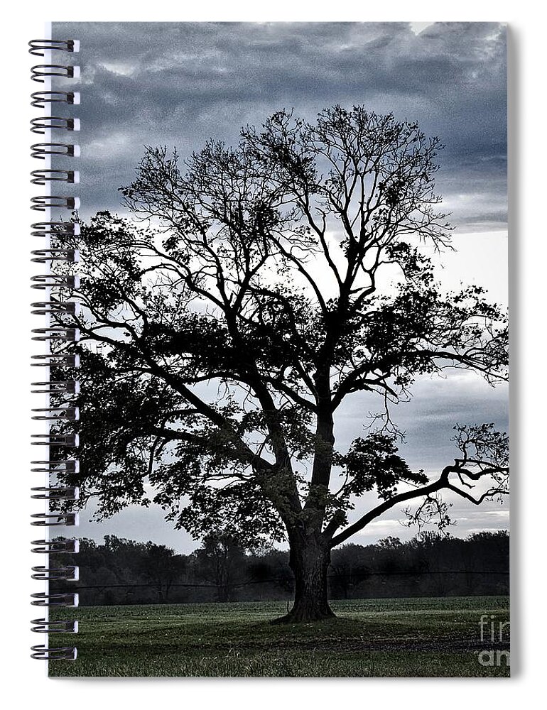 Scenic Spiral Notebook featuring the photograph Grace by Skip Willits