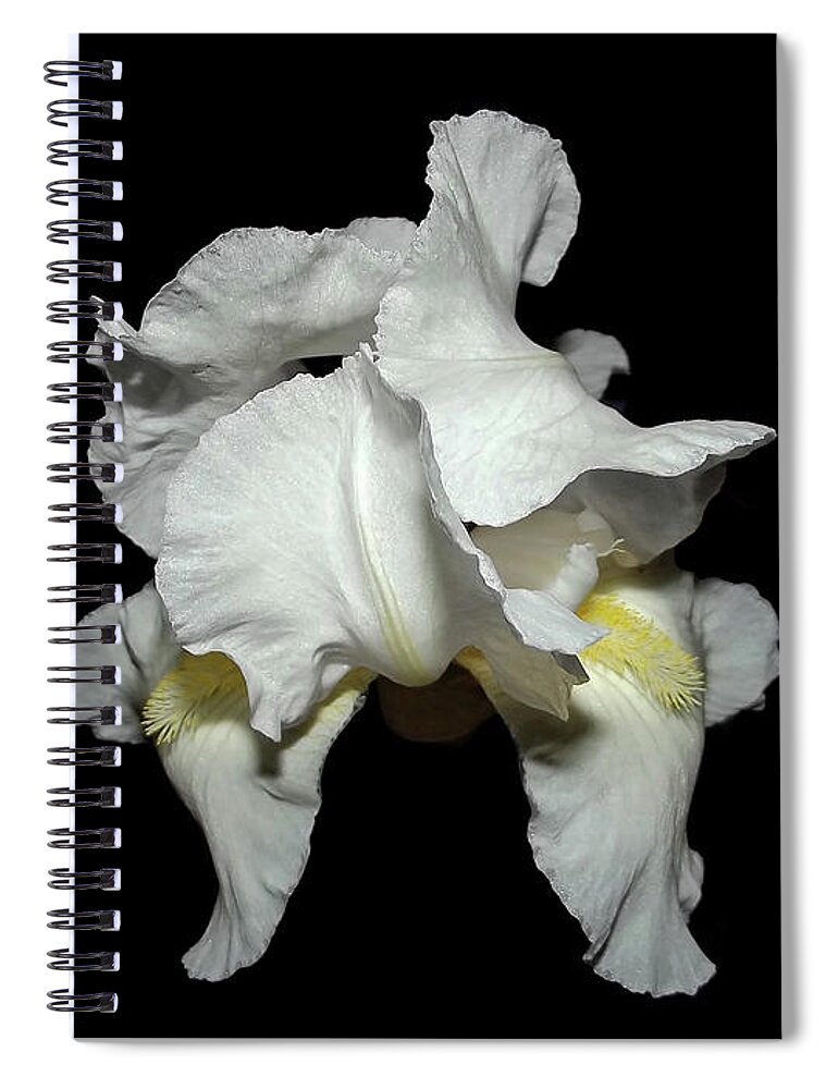 White Iris Spiral Notebook featuring the photograph Grandma's White Iris by Harold Zimmer