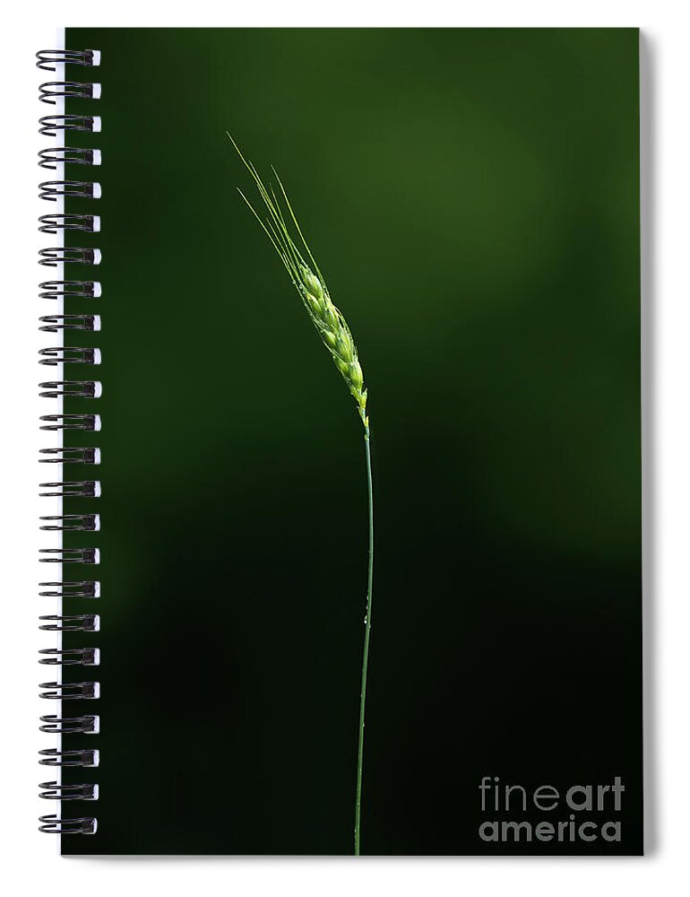 Nature Spiral Notebook featuring the photograph Grass by Diane Diederich