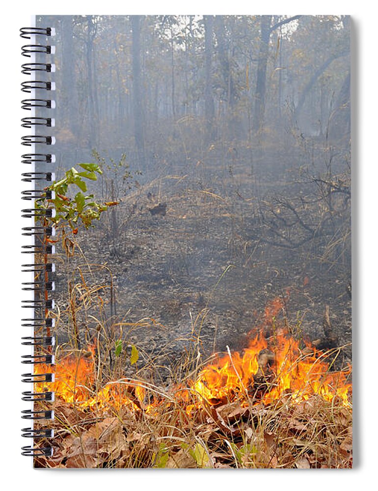 Forest Spiral Notebook featuring the photograph Grass Fire, Cambodia by Fletcher & Baylis