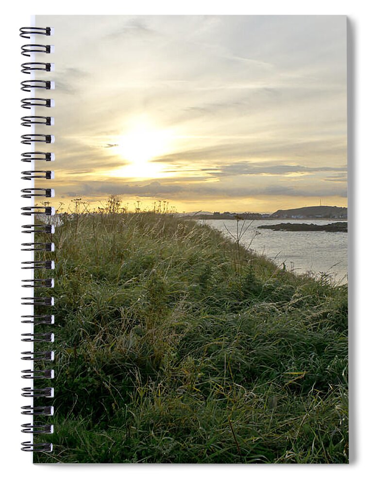 Setting Sun Spiral Notebook featuring the photograph Grass vs Stems by Elena Perelman