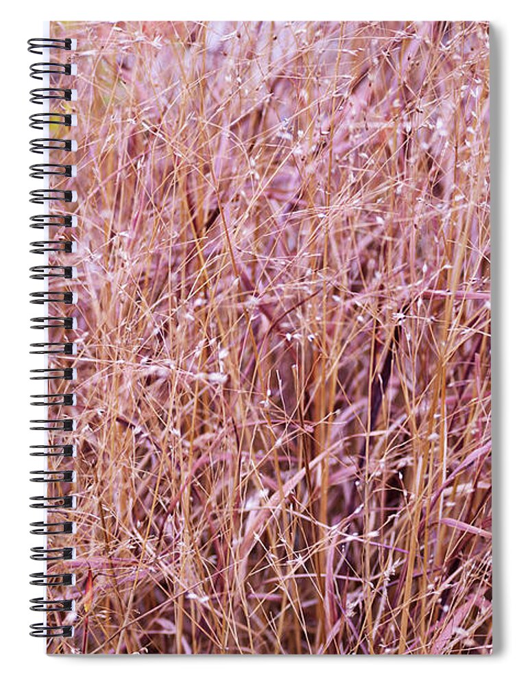 Grass Spiral Notebook featuring the photograph Grasses on the High Line No. 1 by Sandy Taylor