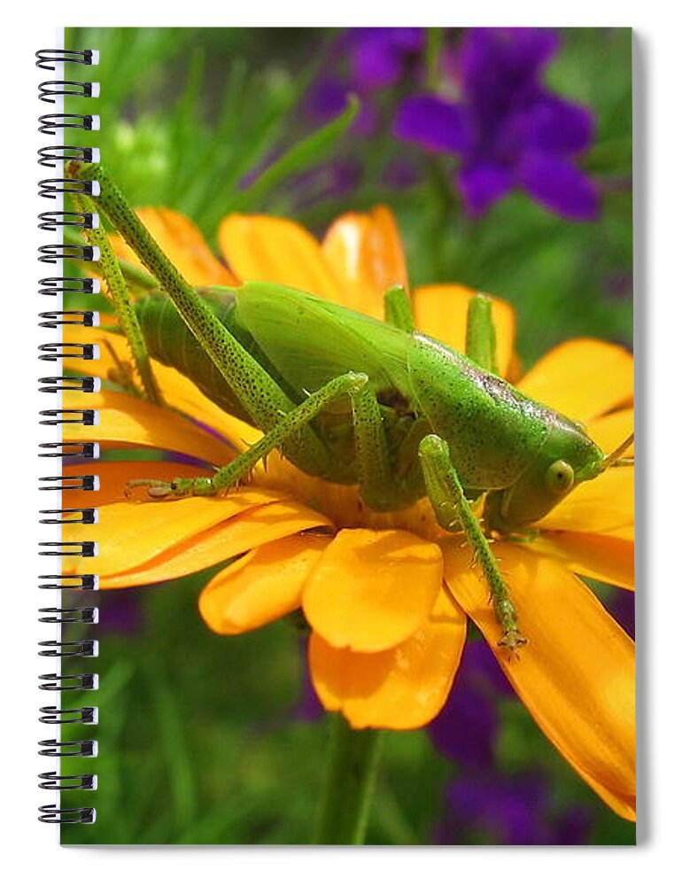 Grasshopper Spiral Notebook featuring the photograph Grasshopper by Jackie Russo