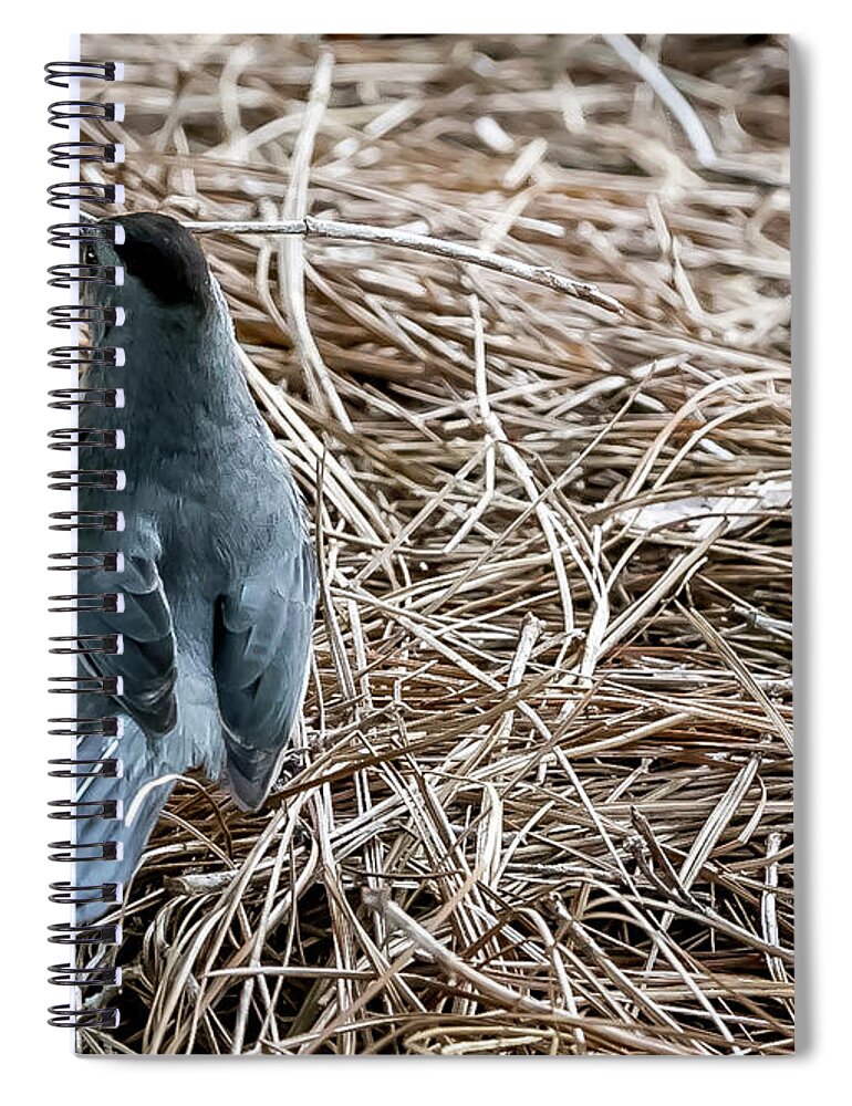 Bird Spiral Notebook featuring the digital art Gray Cat Bird by Ed Stines
