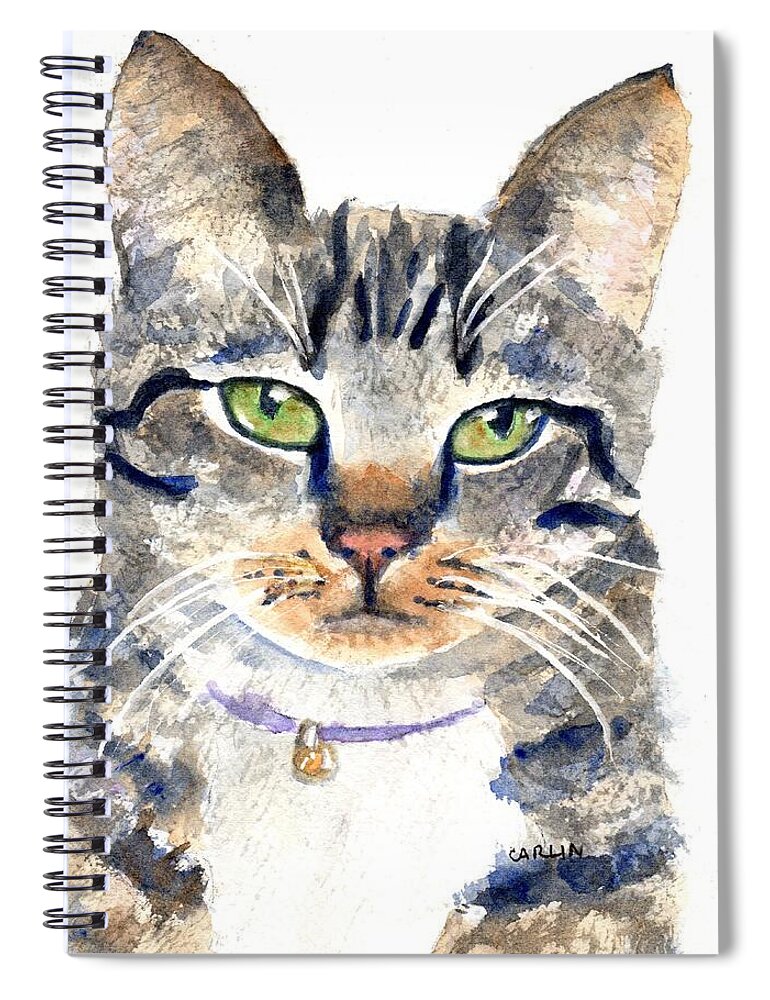 Tabby Spiral Notebook featuring the painting Gray Tabby Cat Watercolor by Carlin Blahnik CarlinArtWatercolor