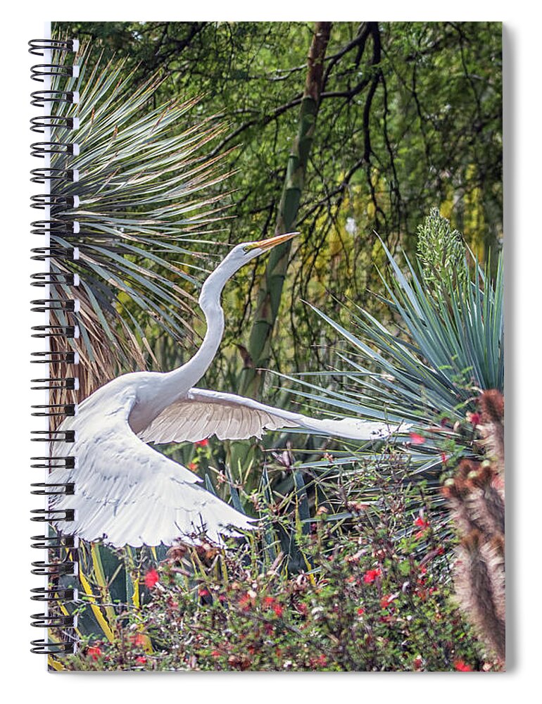 Great Spiral Notebook featuring the photograph Great Egret 4579-040418-1cr by Tam Ryan