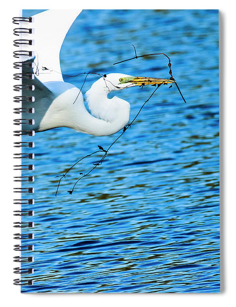 Great Egret Spiral Notebook featuring the photograph Great Egret Building Nest by Ben Graham