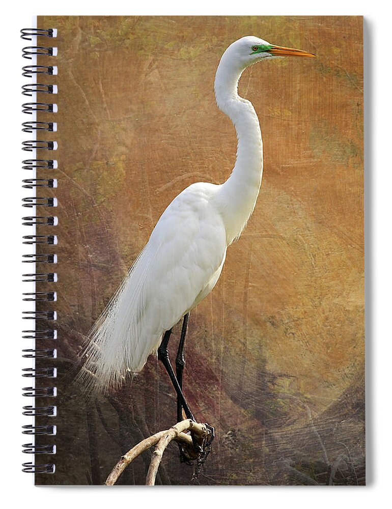 Great Egret Spiral Notebook featuring the photograph Great Egret with Texture by Judy Vincent