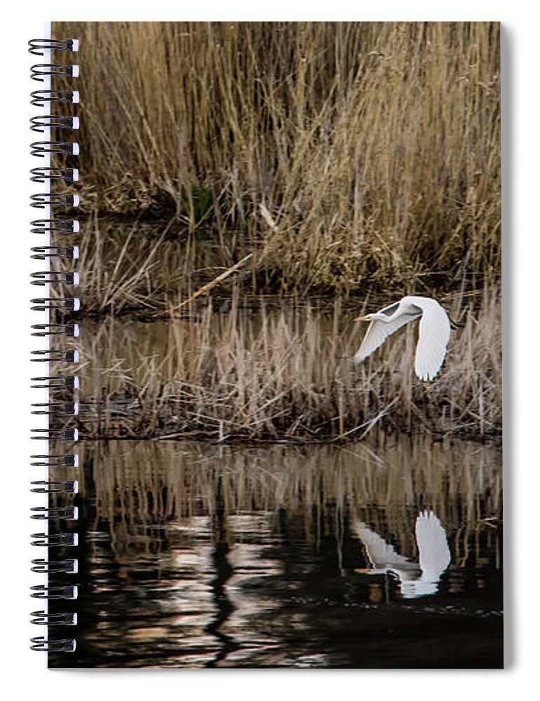 Great Egret Spiral Notebook featuring the photograph Great Egret's flight to a new position by Torbjorn Swenelius