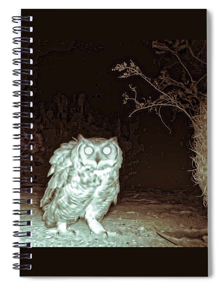 After Dark Spiral Notebook featuring the photograph Great Horned Owl at Night in the Desert by Judy Kennedy