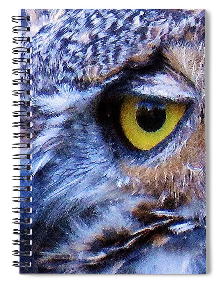 Great Horned Owl Spiral Notebook featuring the photograph Feather Eyelashes by Michele Penner