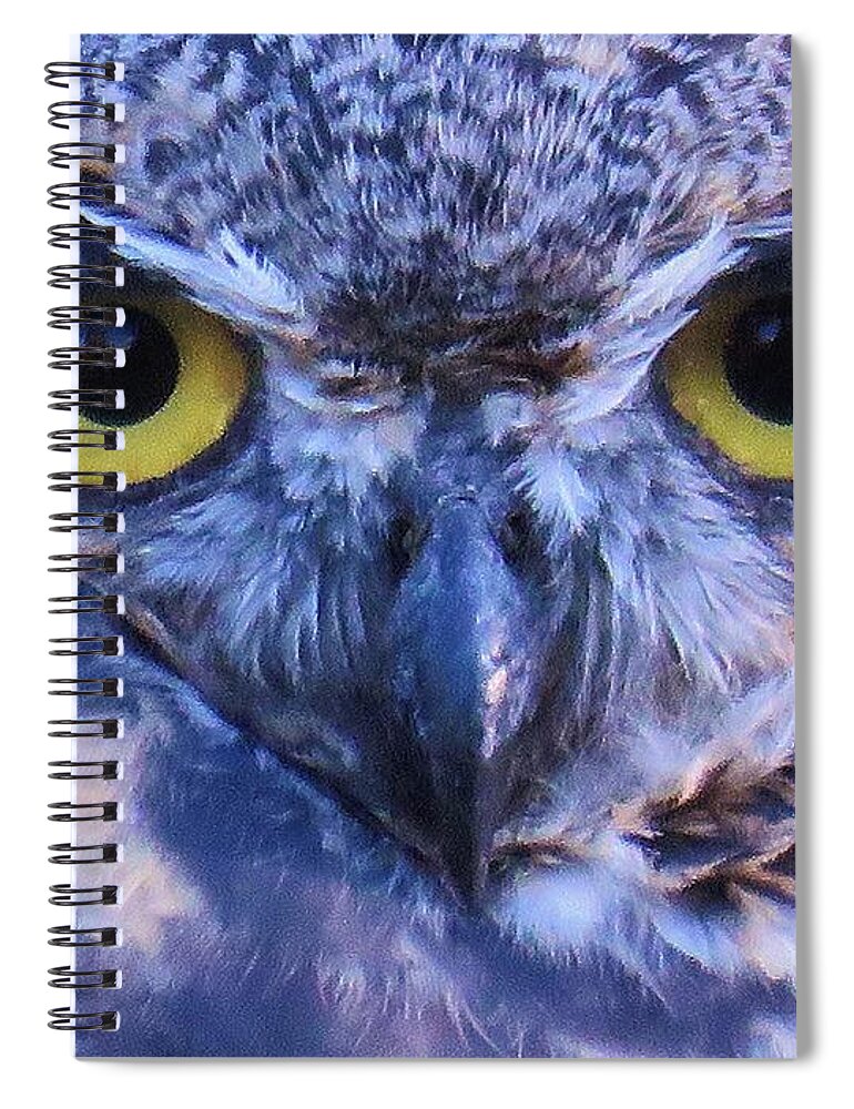 Great Horned Owl Spiral Notebook featuring the photograph Great Horned Owl Macro by Michele Penner