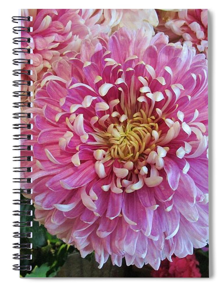 Flower Spiral Notebook featuring the photograph Great pleasure by Rosita Larsson