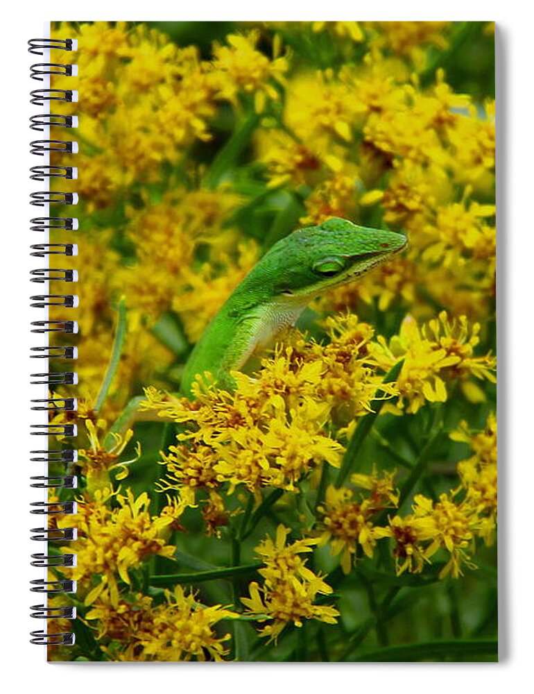Green Anole Spiral Notebook featuring the photograph Green Anole hiding in Golden rod by Barbara Bowen