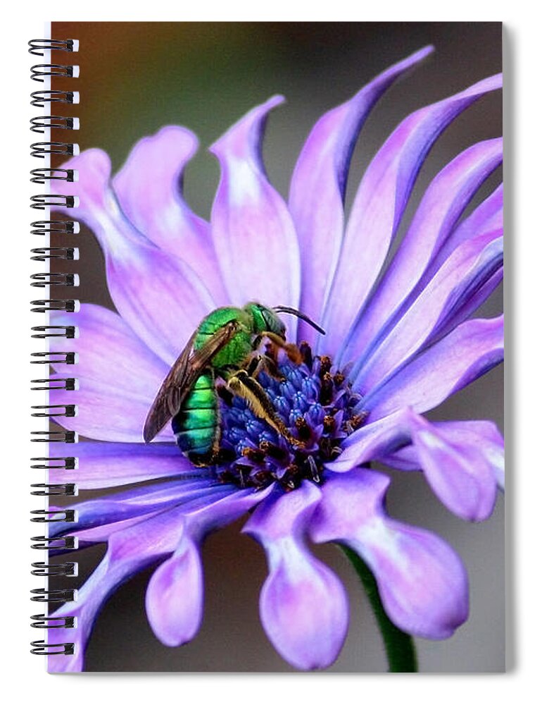 Green Bee Spiral Notebook featuring the photograph Green Bee Electrified by Carol Groenen