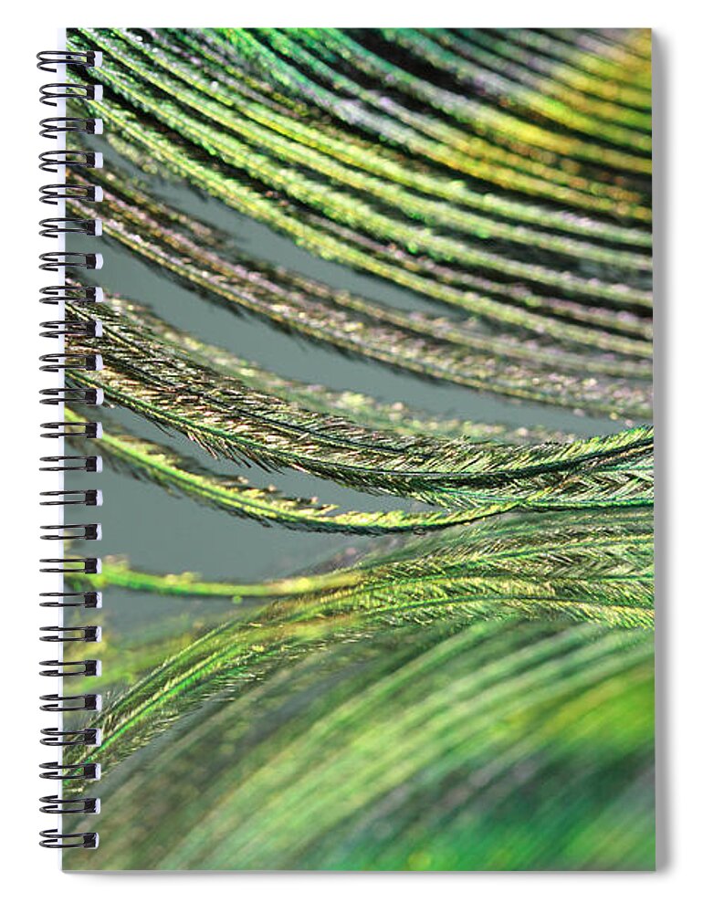 Peacock Spiral Notebook featuring the photograph Green Feather Strands by Angela Murdock