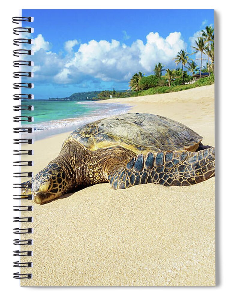North Shore Spiral Notebook featuring the photograph Green Sea Turtle Hawaii by Hans- Juergen Leschmann