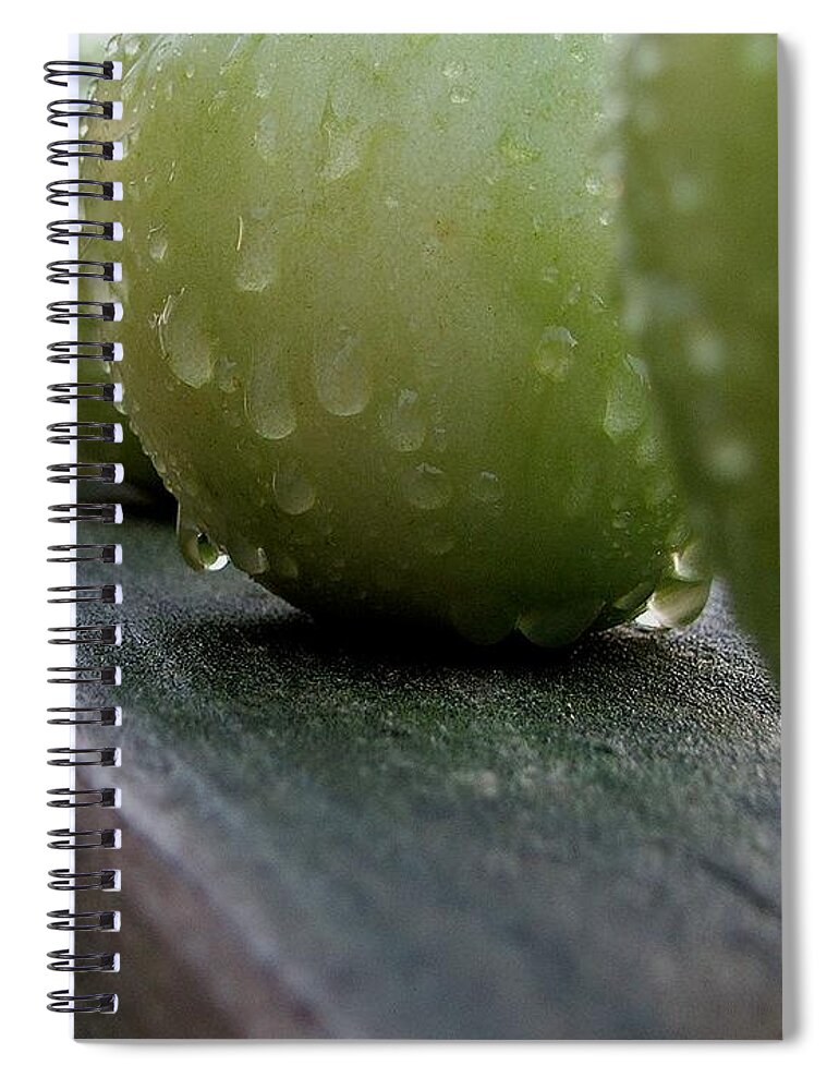 Green Tomato Spiral Notebook featuring the photograph Green Tomato's by Robert Meanor