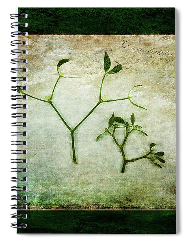 Green Spiral Notebook featuring the photograph Green Tradition by Randi Grace Nilsberg