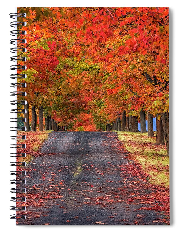 Greenbluff Spiral Notebook featuring the photograph Greenbluff Autumn by Mark Kiver