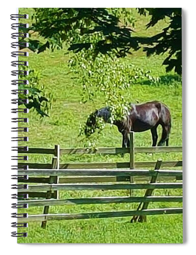 Meadows Spiral Notebook featuring the photograph Greenport 7 by Rob Hans