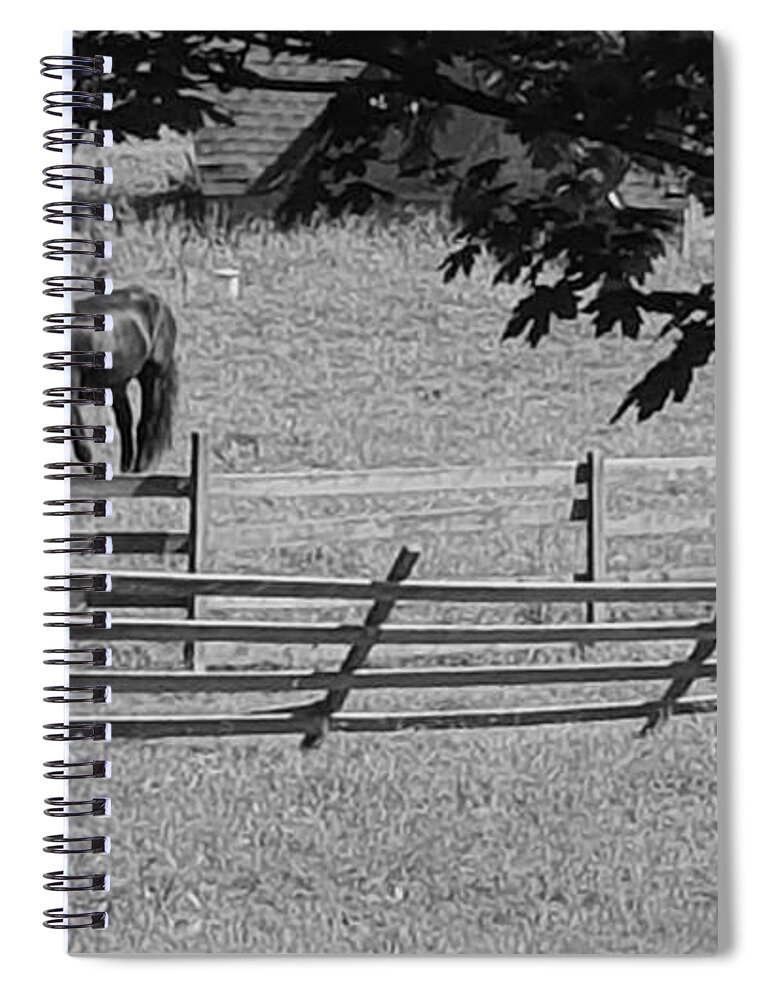 Meadows Spiral Notebook featuring the photograph Greenport B W 6 by Rob Hans