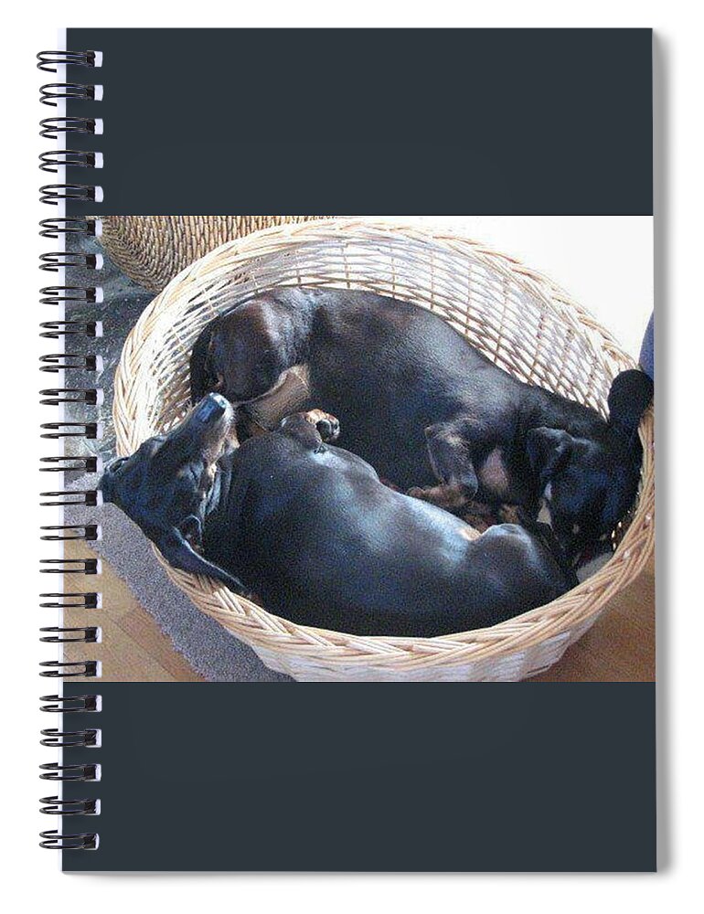 Dog Spiral Notebook featuring the photograph Top And Tail by Rowena Tutty