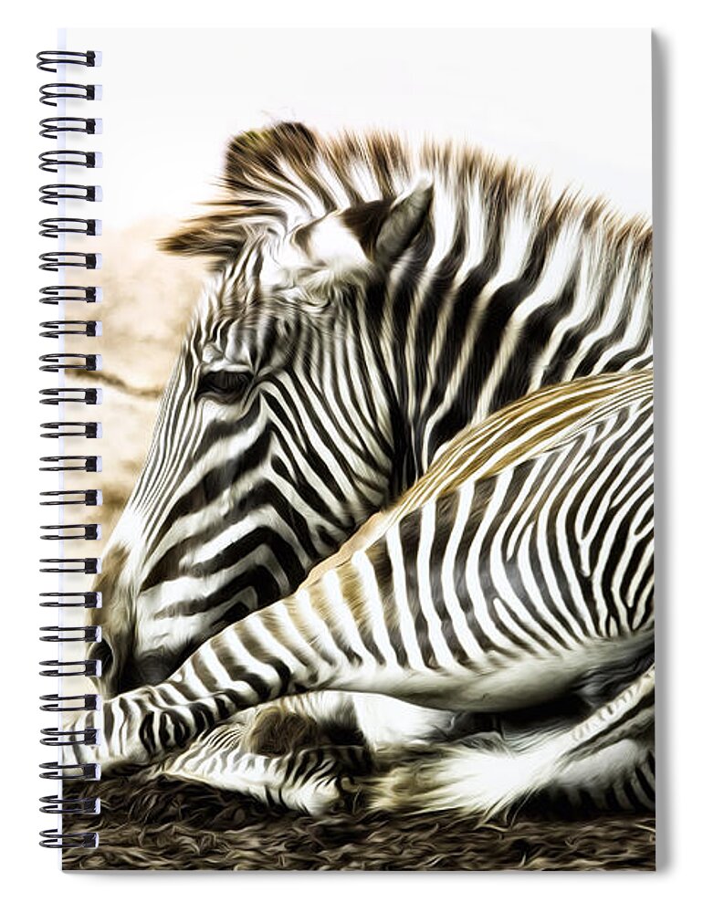 Zebra Spiral Notebook featuring the photograph Grevy's Zebra by Bill and Linda Tiepelman