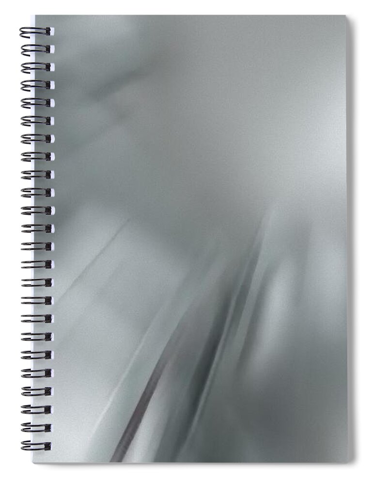 Painting Spiral Notebook featuring the painting Grey Painting by Archangelus Gallery