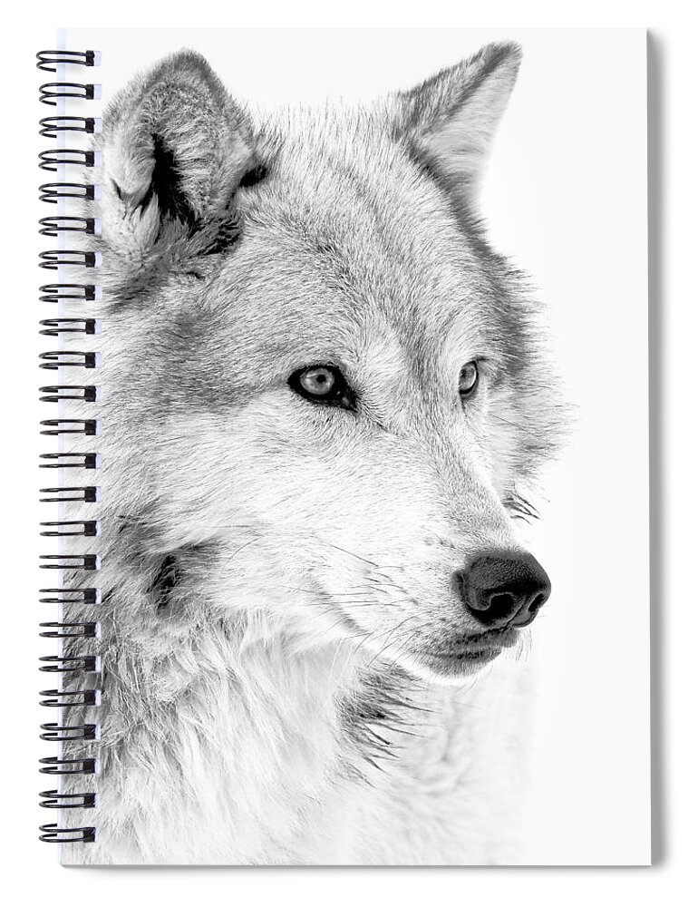 Wolves Spiral Notebook featuring the photograph Grey Wolf Profile by Athena Mckinzie