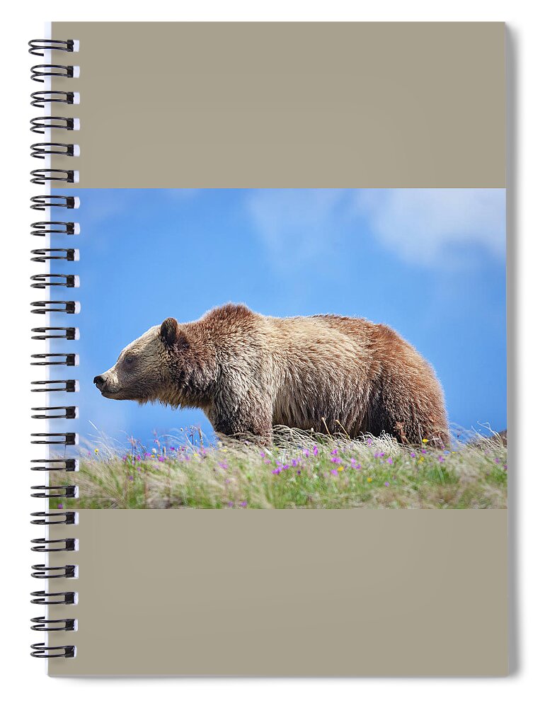 Mark Miller Photos Spiral Notebook featuring the photograph Grizzly and Blue Sky by Mark Miller
