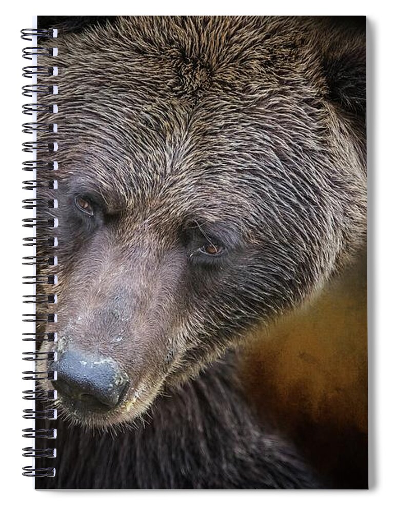 Grizzly Bear Spiral Notebook featuring the photograph Grizzly Bear Portrait by Eva Lechner
