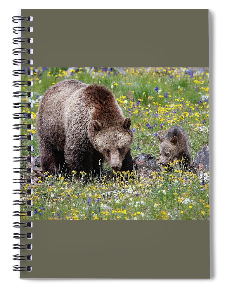 Mark Miller Photos Spiral Notebook featuring the photograph Grizzly Sow and Cub in Summer Flowers by Mark Miller