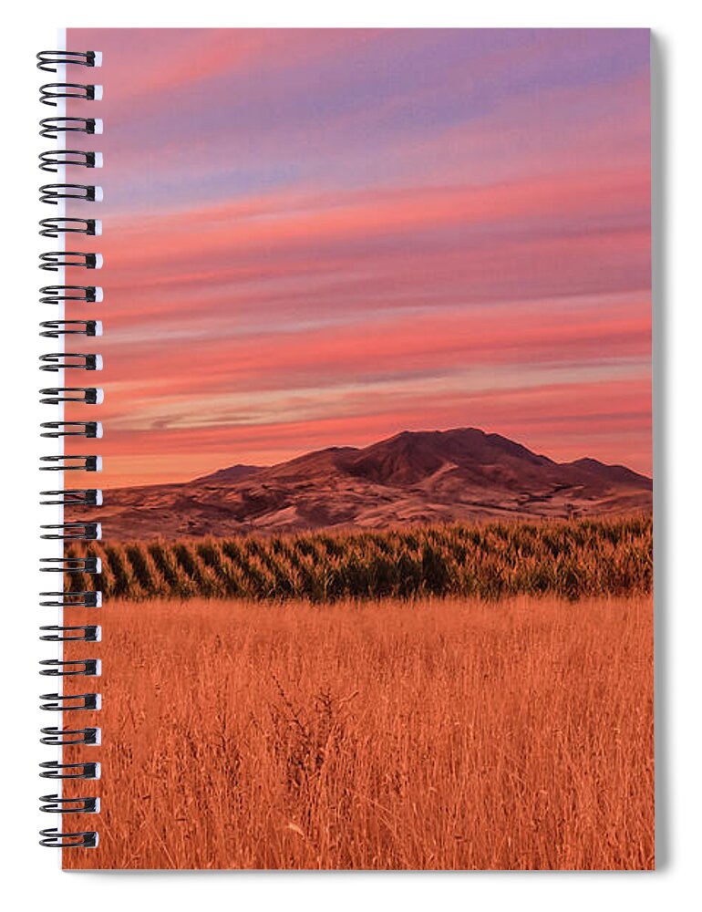 Gem County Spiral Notebook featuring the photograph Ground View by Robert Bales